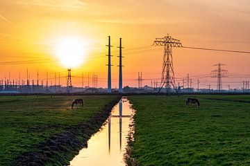 Windspurmasten 380kv-Verbindung Vierverlaten Eemshaven