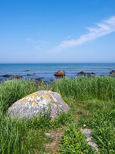 Felsen an der Küste von Kap Arkona auf Rügen
