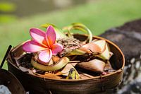 Rieten offermandje met roze bloem in Bali, Indonesië