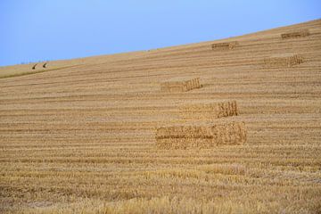 Hooibalen in het veld van Ulrike Leone