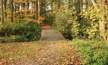 Hiking trail in the nature reserve of castle ter Hooge by Wendy Hilberath
