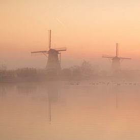 Nebliger Morgen in Kinderdijk von Ilya Korzelius