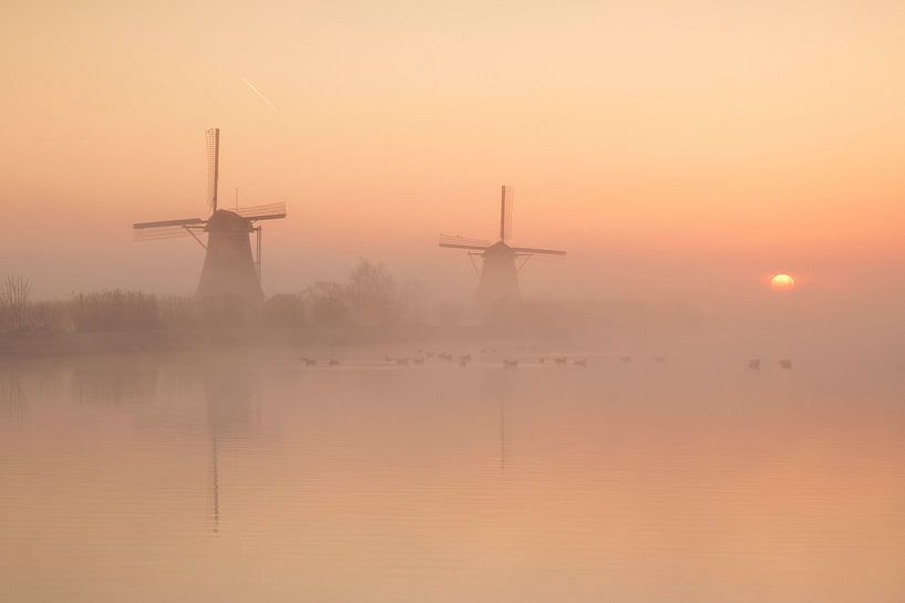 Nebliger Morgen in Kinderdijk von Ilya Korzelius