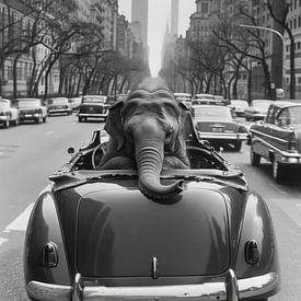 Elephant Urban Jungle by Preet Lambon