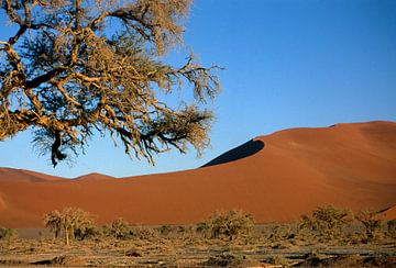 Sossusvlei van Richard Wareham