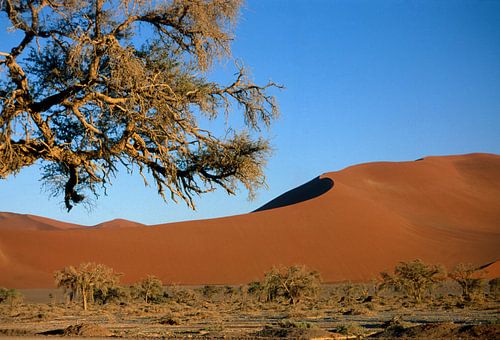 Sossusvlei