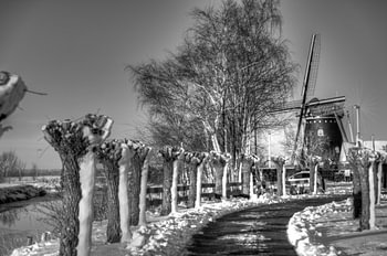 Posters voor de wereld: Coppense molen zwart wit