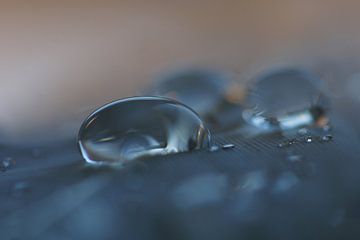 Watching the storm by Carla Mesken-Dijkhoff