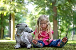 Whippet - Mein bester Freund
