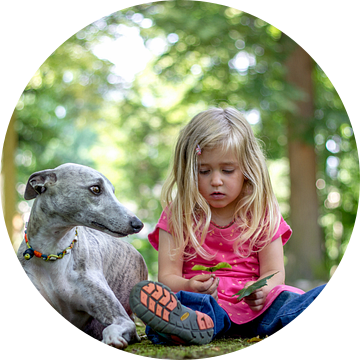 Whippets - Mijn beste vriend,