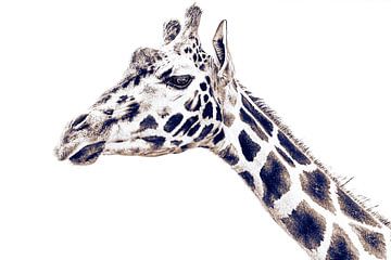 Andy Warhol Pop-Art - Art Style Giraffe black and white von Jakob Baranowski - Photography - Video - Photoshop