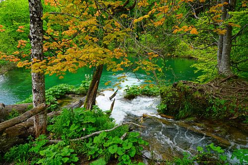 Nationaal Park Plitvice in Kroatië