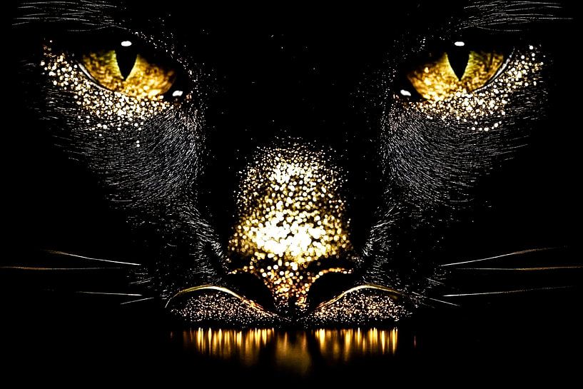Close-up cat with gold details by Imperial Art House