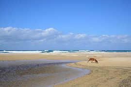 Stumers Creek von Frank's Awesome Travels