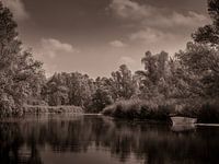 Tijdloos waterlandschap in de Biesbosch