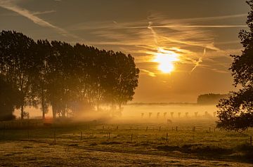 Sonnenaufgang über nebligen flämischen Feldern im Brügge-Ommeland von Mike Maes
