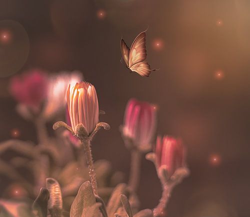 bloemen en vlinder in fantasie wereld