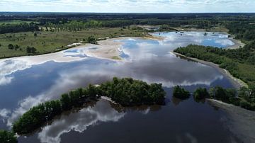 The Flaes #1 by Marco van Loon