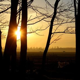 Door de bomen de zonsondergang zien by Geert Heldens