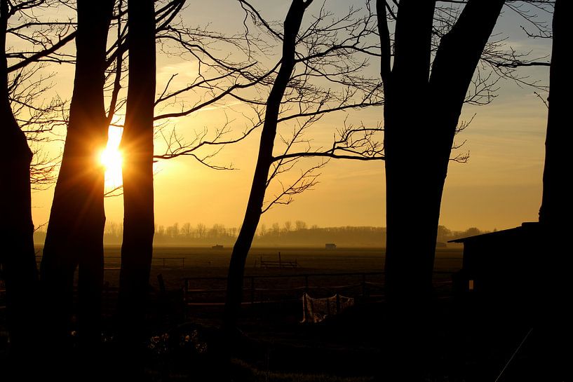 Door de bomen de zonsondergang zien van Geert Heldens