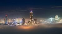 Foggy Rotterdam from the Euromast