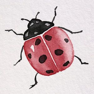 Coccinelle rouge avec points noirs (aquarelle carrée insecte animaux pépinière)