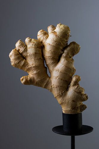 Ginger sur un piédestal