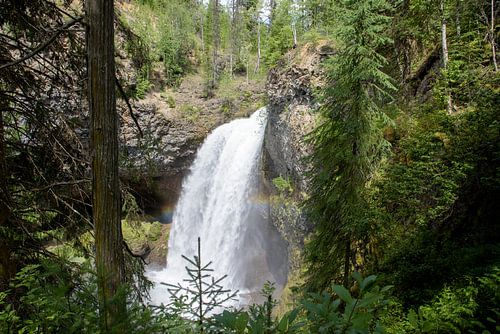 Arc-en-ciel devant une chute d'eau brute dans les bois