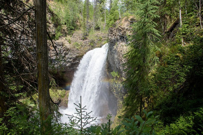 Rainbow in front of a rough waterfall in the forest by Arjen Tjallema