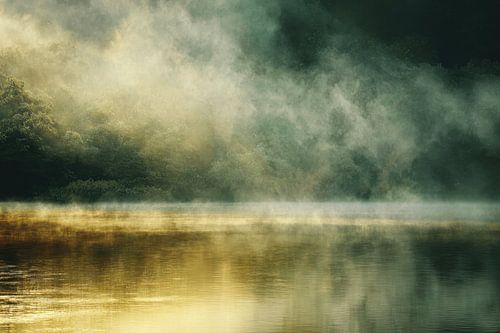 Misty Lake with Golden Reflections in Green Landscape by BowiScapes - Fine Art Landscapes