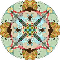 Mandala animal, le Criquet.