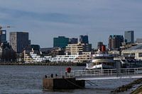Rotterdam City