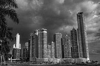 Panama-stad city skyline met palmbomen van Marlo Brochard thumbnail