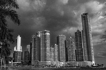 Ligne d'horizon de la ville de Panama avec des palmiers sur Marlo Brochard