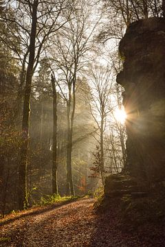 Consdorf, Luxembourg sur Jarne Buttiens