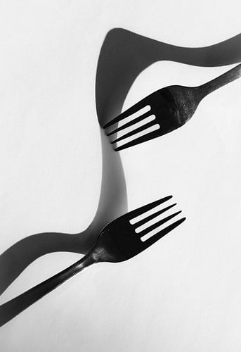 Play of shadow and light with 2 forks, black and white