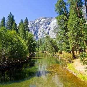 YOSEMITE VALLEY Rivière de la Pitié
