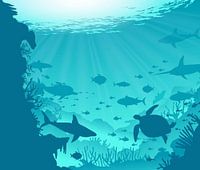 Sea animal