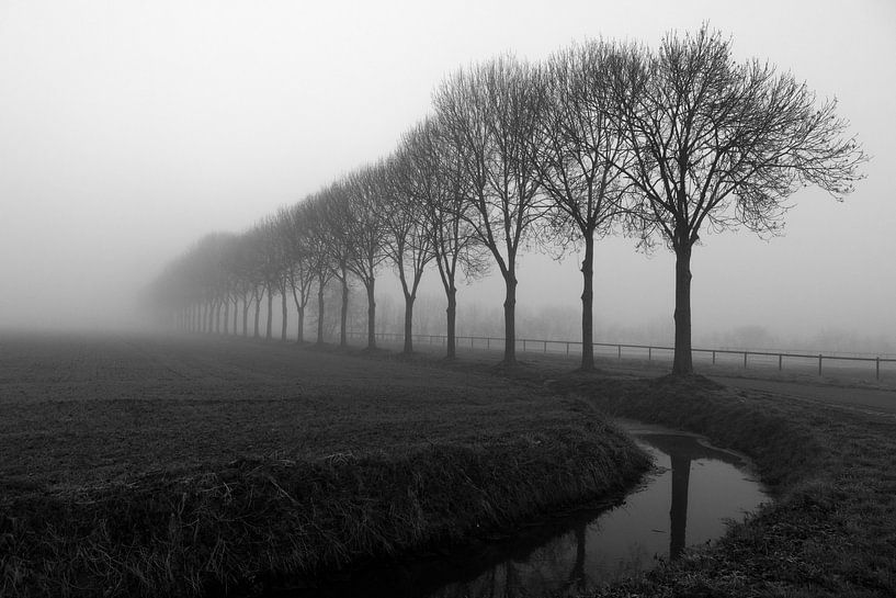 Beuningen 28-02-2021. Landscape in the outskirts of Beuningen in Maas and Waal. With ditch and row o by Ger Loeffen