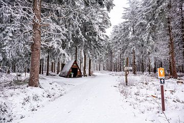 Petite randonnée hivernale dans la forêt enneigée de Thuringe près de Floh-Seligenthal - Thuringe - Allemagne sur Oliver Hlavaty