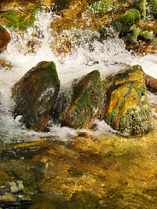 Der Riesbach im Riesloch bei Bodenmais 4