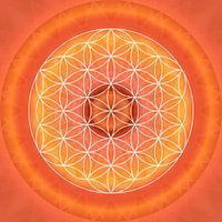 Sacral Chakra with Flower of Life