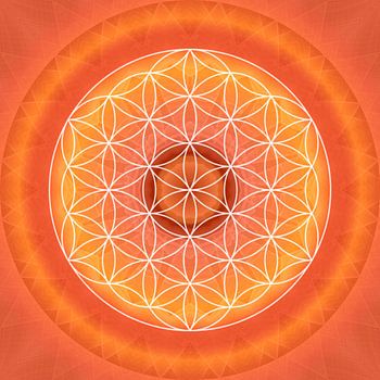 Sakralchakra mit Blume des Lebens