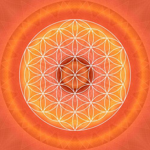Sacral Chakra with Flower of Life