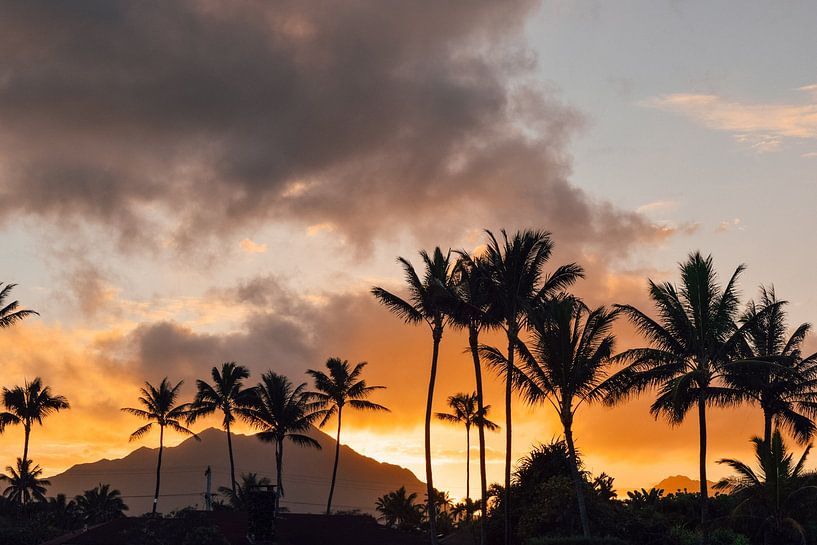 Hawaii by Hello Pompoyo