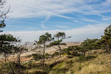 Vue de la tour de signalisation de la dune de Terschelling sur Lydia