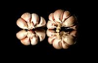 Garlic on reflective surface