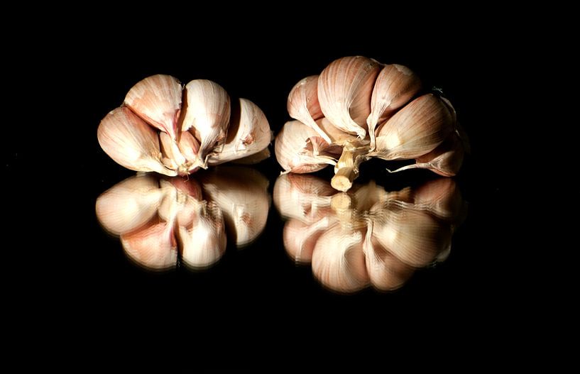 Garlic on reflective surface by Hans Staphorst