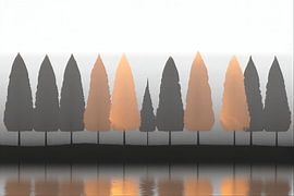 ZEN:: A minimalist row of trees in the mist with warm highlights