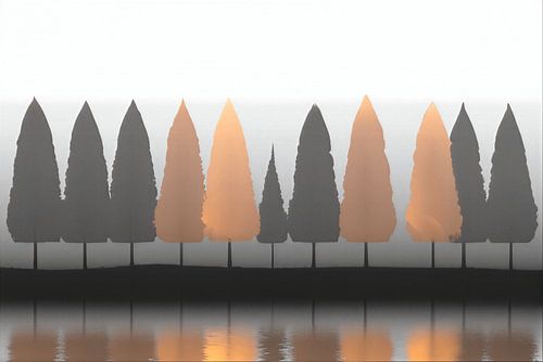 ZEN:: Minimalistische bomenrij in de mist met warme lichtaccenten